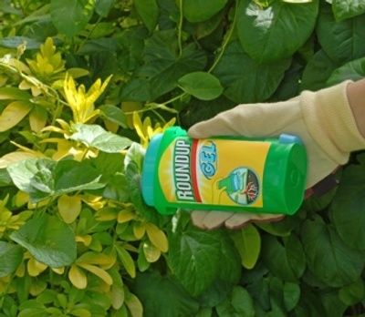Europe gives the all-clear to Roundup and glyphosate 