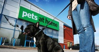 Vets and grooming boost Pets at Home