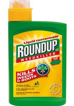 Decision on glyphosate delayed until end of the month