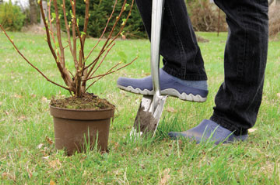 A surprising number of British people were unable to identify the most basic of gardening tools