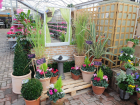 Perrywood container gardening ideas, creative use of vertical space and simple chalk board messages