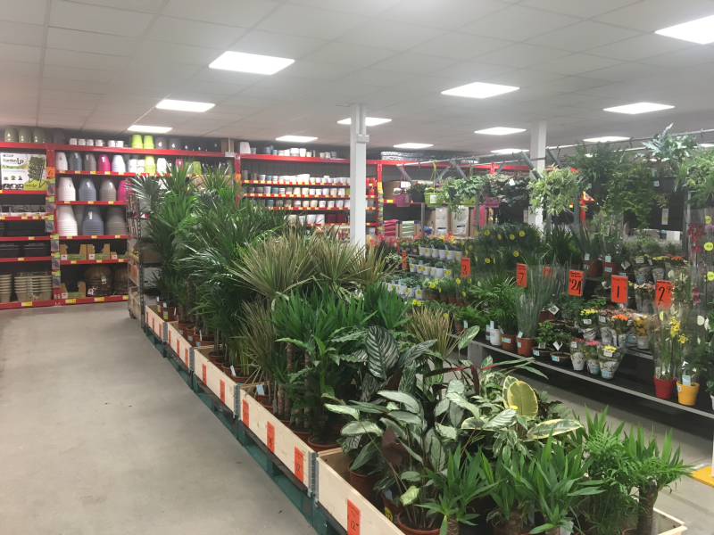 The store offers a good selection of keenly-priced houseplants and pots