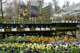 The Gardens Group said its centres "felt the benefit" in May and made up for losses earlier in the season. (Castle Gardens pictured)