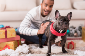 Millennials want their pets to keep up with the latest grooming and fashion trends, with 54% saying they’d go without so they could afford to pamper their pets