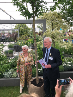 Chairman Robert Hillier presenting Dame Judi with the elm sapling