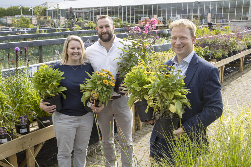 Garden Centres In Devon And Cornwall Fasci Garden