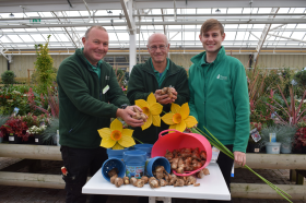 L-R Andrew Brown, Colin Wood, Jamie Maxwell Little daffodils at Tong Garden Centre