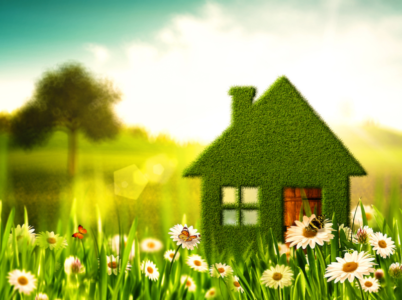 green homes grant new boiler