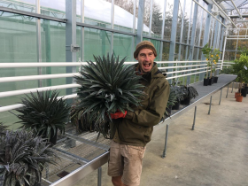 Mark Tuson, Team leader at RHS Garden Wisley, excited to assess the 