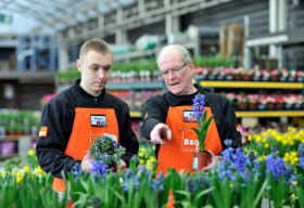 B&Q claims to be the first retailer to grow flowering plants for sale without the use of neonicotinoid pesticides