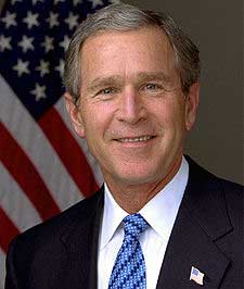 Bush turns down job at DIY store