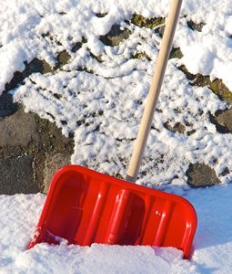 Taskers takes initiative with half-price snow shovels