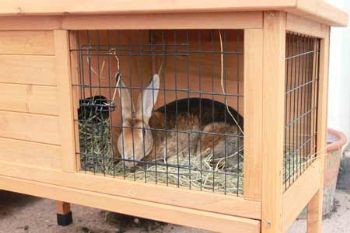 argos rabbit hutch