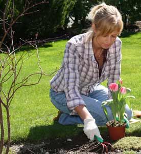 June sales boost – the high point of the gardening season so far