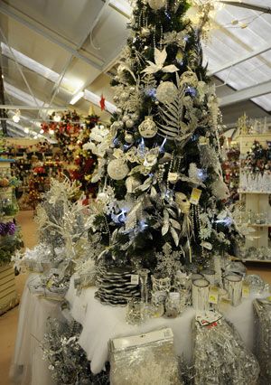 Opportunities for garden retailers this Christmas