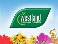 Westland launches Masterclass Academy