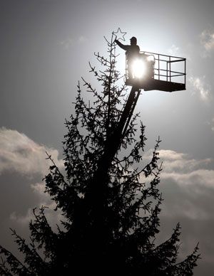 UK's biggest Christmas tree lights up Dobbies