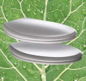 Bumper year for Bemis