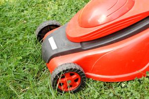 Garden power sales decline in 2011, says GfK 