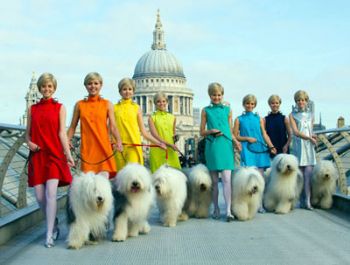 Superbrand Dulux transforms London into a 'dogwalk' 