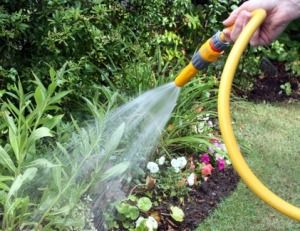 Three water areas lift hosepipe bans