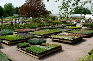 Garden Centre Group plans more concessions