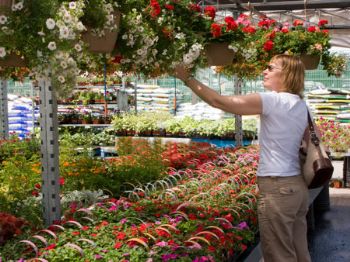 Sunshine brings out the garden centre shoppers in May