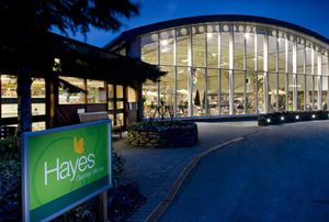 Hayes Garden World md jailed after 'desperate' appeal fails