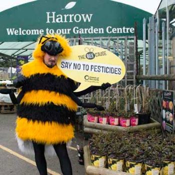 BEE UPDATE: GCG and Dobbies become latest to pull neonicotinoids from shelves