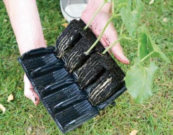 The propagator that opens like a book