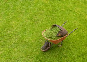 May bank holidays boost garden and DIY 