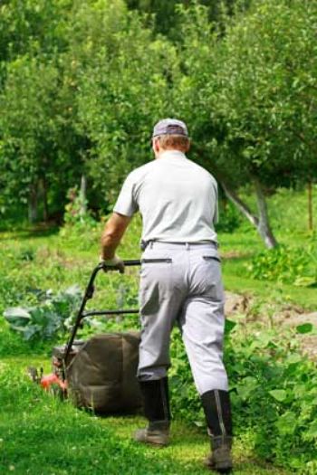 Brits spend almost two months of their lives mowing the lawn