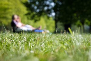 DIY and gardening searches soar in the sunshine