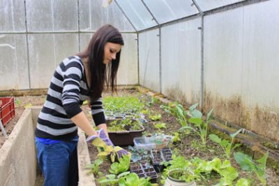 Gardeners seek more advice and help when shopping