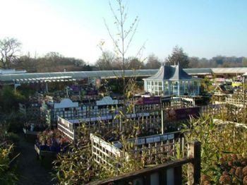 Blue Diamond looks to buy Fermoy's Garden Centre