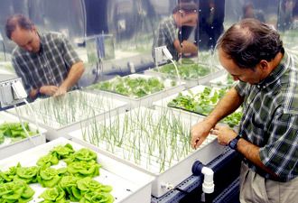 Nursery thieves make off with valuable hydroponics equipment