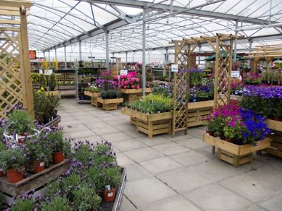 Cherry Lane acquires Lowestoft garden centre