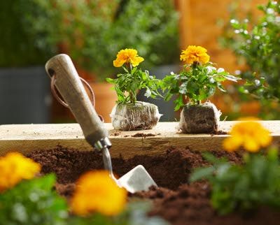 B&Q bedding breakthrough ditches polystyrene and peat 