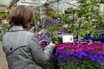 Bank holiday kicks off good gardening start to May