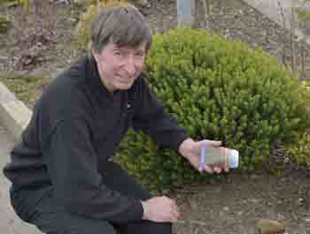 Thousands of poppy seeds sown at Trelawney@Wadebridge garden centre to remember WWI