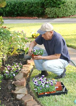 Gardening season shows signs of returning to normality