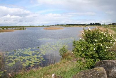 Bord na Móna invests in former peat bog visitor centre