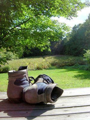 Garden industry's great and good get going for Greenfingers 