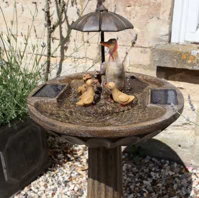 Sunny reception for Smart Solar fountains 