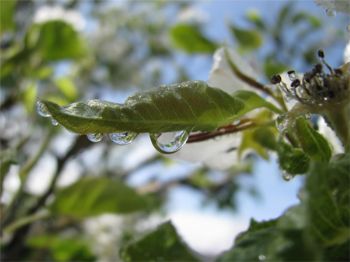 DIY and gardening takes a dive in March