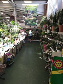 April showers dampen traditional garden centre sales