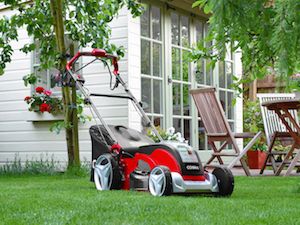 Cobra boasts largest range of lawnmowers on market